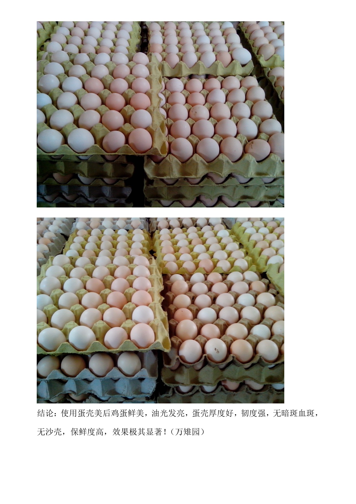 币游·国际(中国游)官方网站