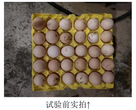 币游·国际(中国游)官方网站