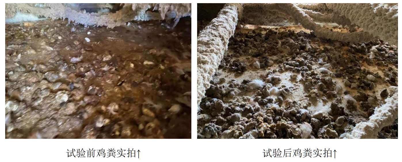 币游·国际(中国游)官方网站