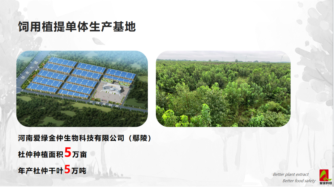 币游·国际(中国游)官方网站